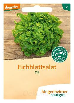 Produktfoto zu Eichblattsalat "Till" (Saatgut)