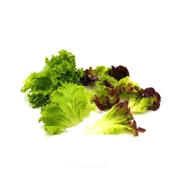 Produktfoto zu Pflücksalat