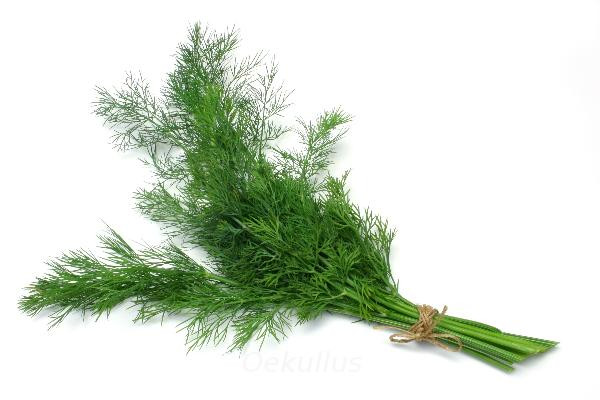 Produktfoto zu Dill