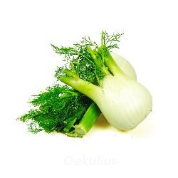 Produktfoto zu Fenchel