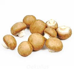 Produktfoto zu Steinchampignons