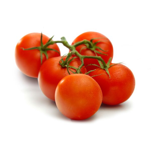 Strauchtomaten