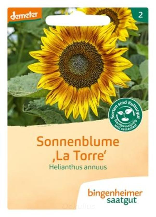 Produktfoto zu Sonnenblume "La Torre" (Saatgut)