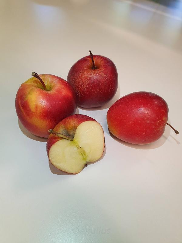 Produktfoto zu Apfel, Rockit Snackapfel