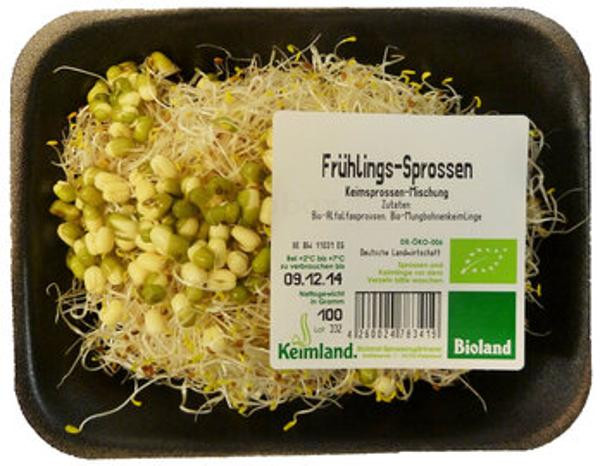 Produktfoto zu Frühlingssprossen