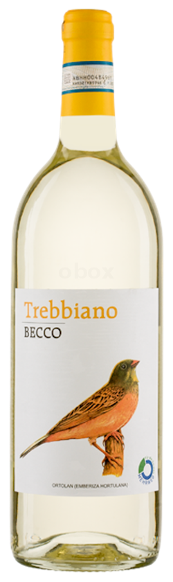 Produktfoto zu BECCO Trebbiano