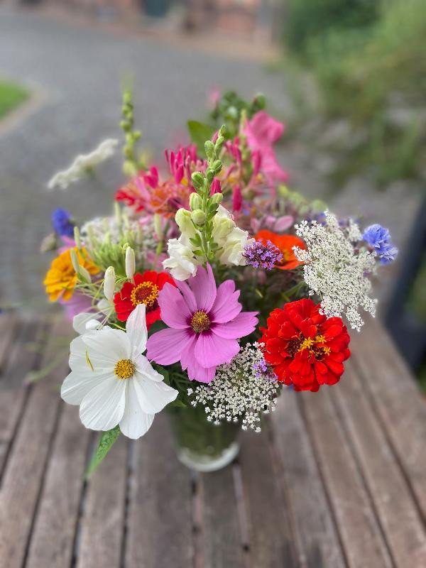 Produktfoto zu Bio Schnittblumen-Strauß