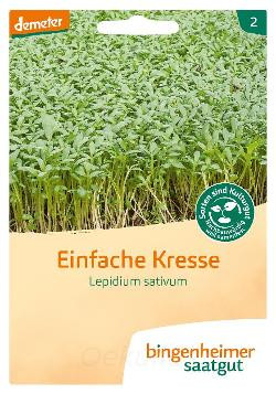 Produktfoto zu Kresse einfach (Saatgut)