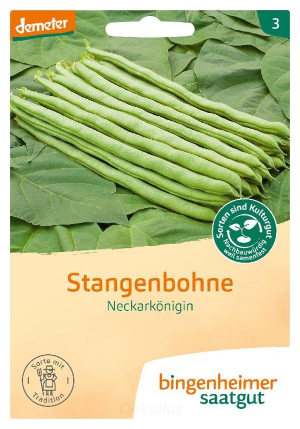 Produktfoto zu Stangenbohne "Neckarkönigin" (Saatgut)