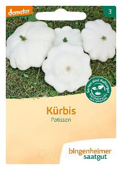 Produktfoto zu Kürbis Patisson (Saatgut)